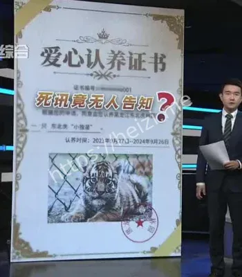 东北虎饲养规范