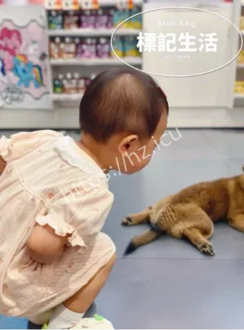 人类幼崽萌娃日常